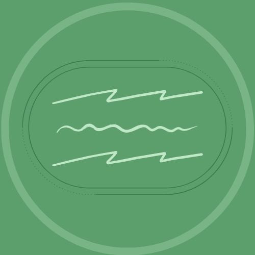 SPS-Customize
