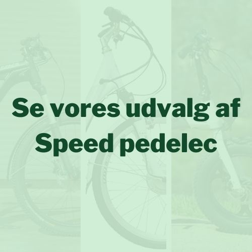 Speed pedelecs